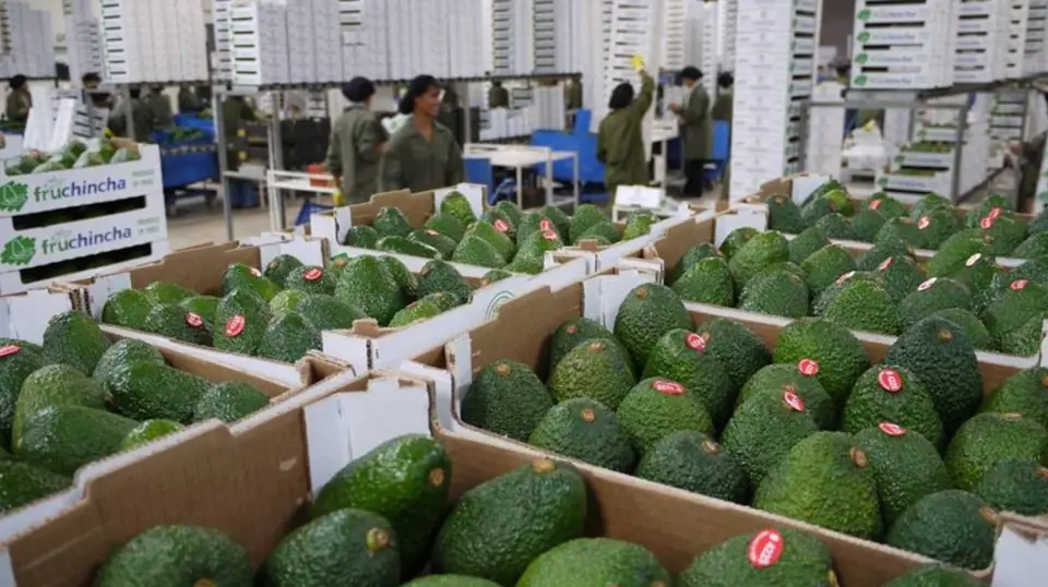 Productos de agroexportacion